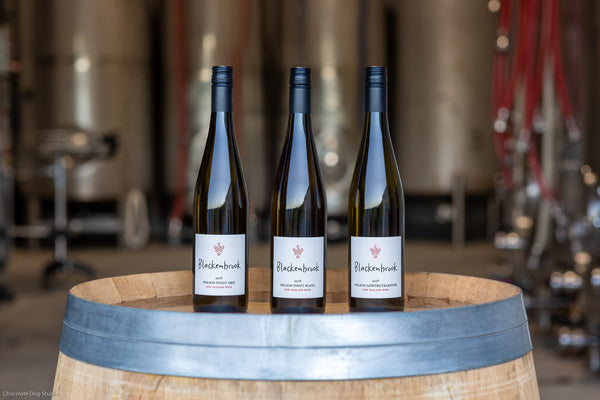 Three bottles of Blackenbrook Pinot Blanc.  In the background there are some stainless steel tanks and red winery hoses.