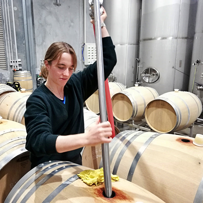 Isabelle Schwarzenbach filling wine into oak barrels at the Blackenbrook winery.  In the background there are lots of oak barrels and stainless steel tanks. 